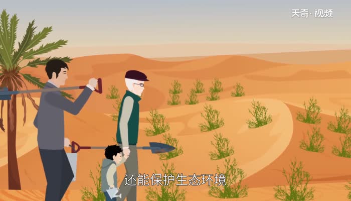 mar是几月 mar指几月