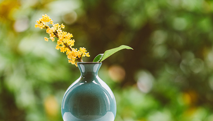 酒后喝茶的危害 酒后喝茶有什么危害