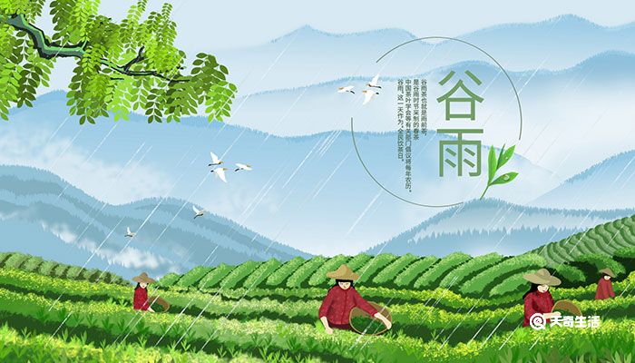 立春谷雨吃啥 谷雨节气吃什么传统食物