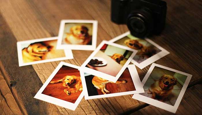 六寸照片尺寸 六寸照片尺寸是多少