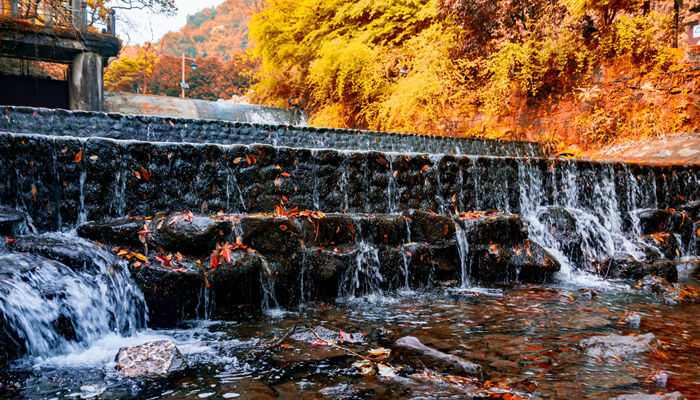 十八洞村隶属于湖南省什么地方 十八洞村隶属于湖南省什么地方属纯苗聚居区