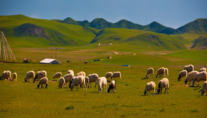 古代的辽国是现在的哪个地方 古代辽国是指哪里