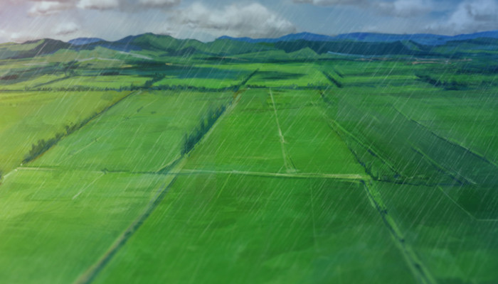 人工降雨的危害 人工降雨有哪些影响