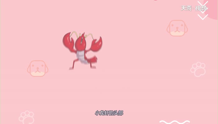 虾黄是什么 什么是虾黄