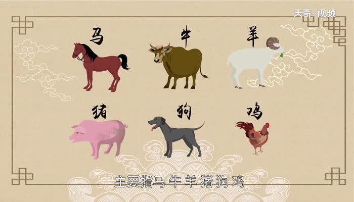 六畜是指哪六畜 六畜有哪些