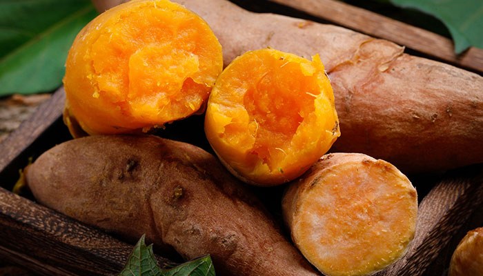 番薯发芽能吃吗 番薯发芽能不能吃