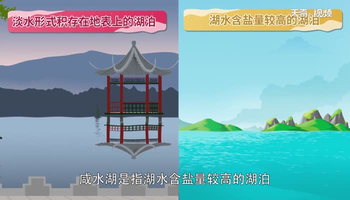 淡水湖和咸水湖的区别 咸水湖和淡水湖怎么区分