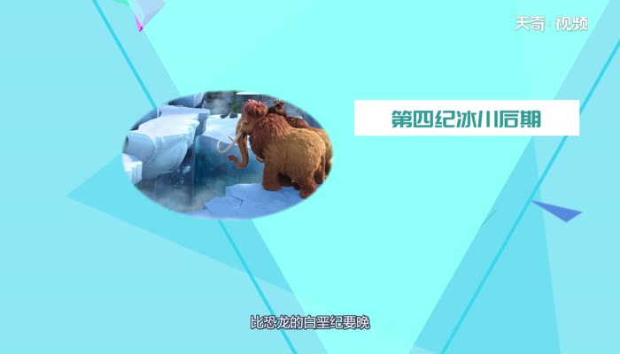 猛犸象是什么时期的 猛犸象来自什么时候