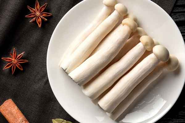 鸡腿菇的功效与作用 鸡腿菇的禁忌人群