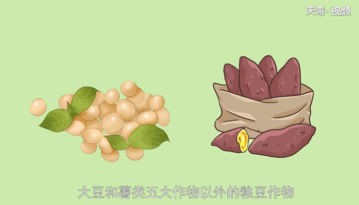 杂粮有哪些 有哪些属于杂粮