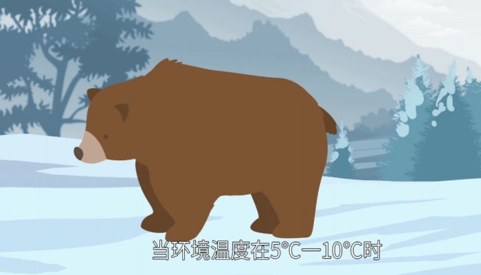 冬眠的动物有哪些 冬眠动物分为哪几种