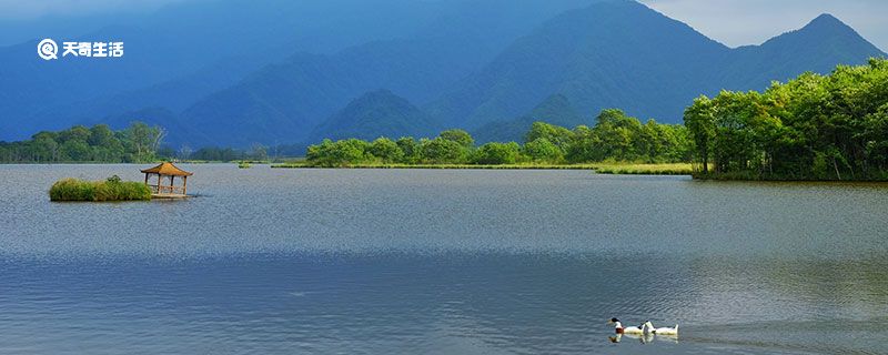 湿地的作用 湿地的功能包括哪些