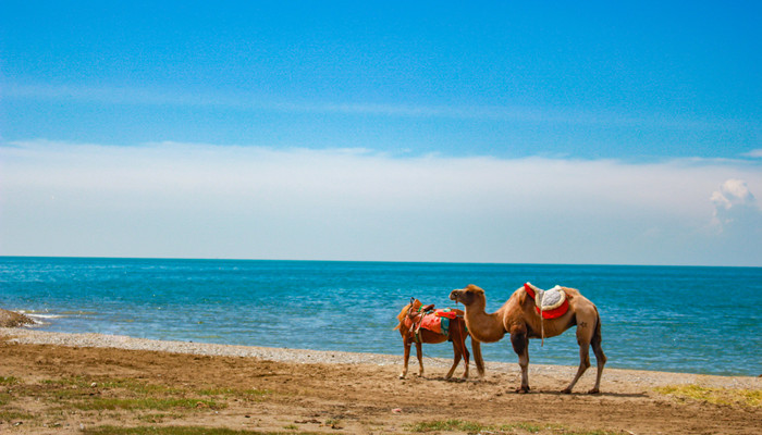 青海湖周长是多少公里 青海湖的历史传说