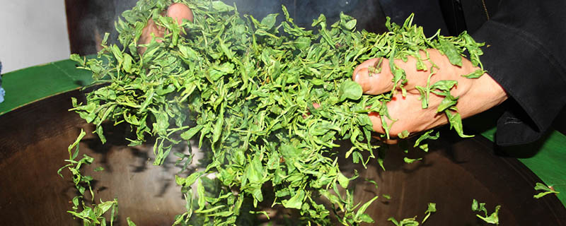 乌龙茶是什么茶 乌龙茶属于什么茶