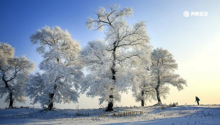 瑞雪兆丰年的下一句 瑞雪兆丰年下一句农谚