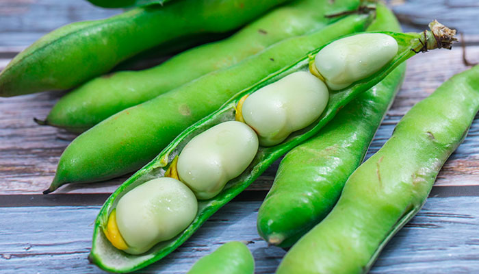 含铁的食物和水果蔬菜 含铁的食物有哪些