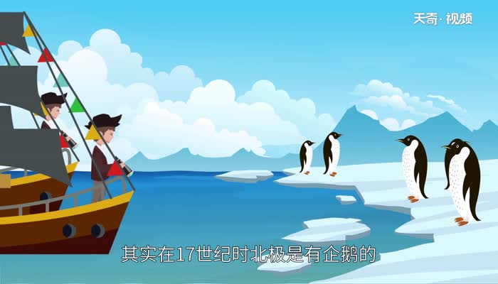 北极有企鹅吗 北极有没有企鹅