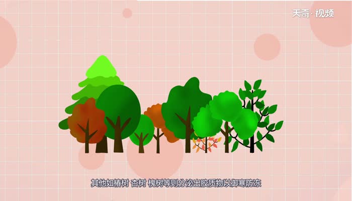 植物怎么过冬 植物过冬是怎么过的