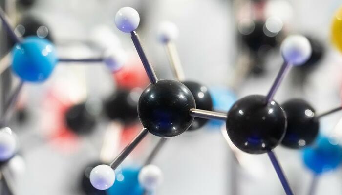 酵母菌的结构 酵母菌的结构是什么