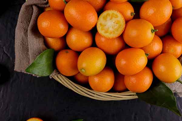 金桔干的功效与作用 金桔干的禁忌人群