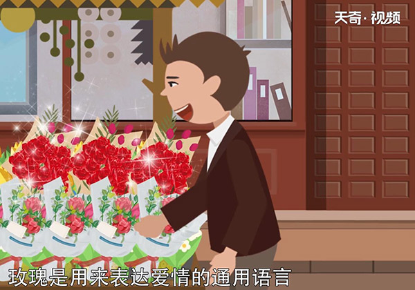 送玫瑰花朵数的含义  如何送玫瑰花