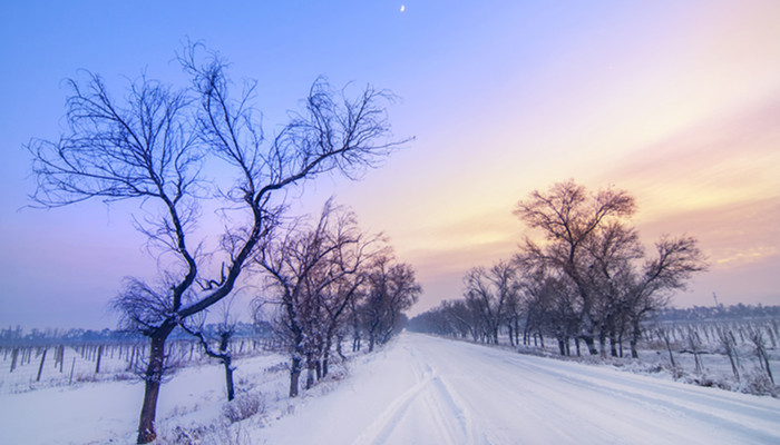 大雪节气北方吃什么 大雪节气北方吃什么东西