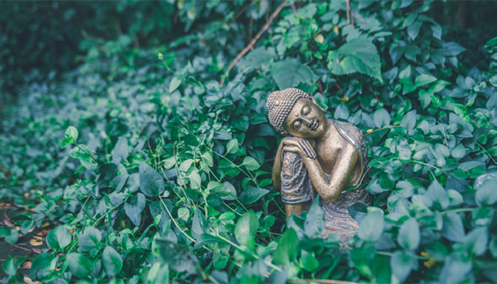 唐密藏密区别，唐密藏密区别是什么