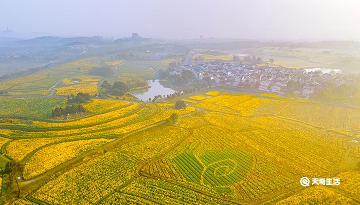 高淳是区还是县 高淳是什么地方