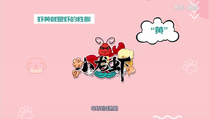 虾黄是什么 什么是虾黄