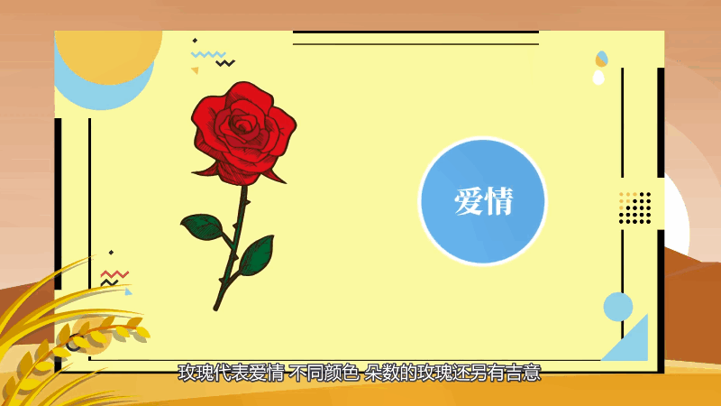 19朵玫瑰花语 19朵玫瑰花语是什么