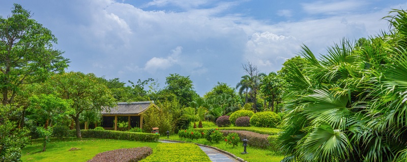 什么属于公共管理类 公共管理类包括什么