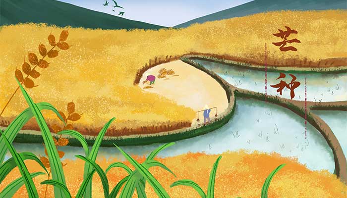 芒种习俗有哪些 芒种习俗有什么习俗