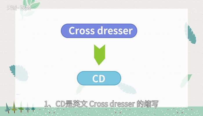 cd是什么意思 cd的意思