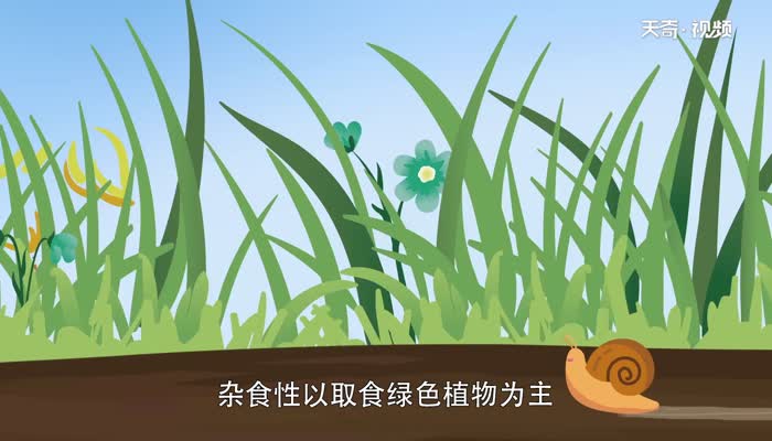 蜗牛是益虫还是害虫  蜗牛属于益虫还是害虫