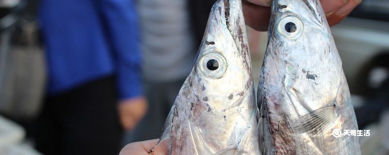 带鱼怎么洗 带鱼的处理方法