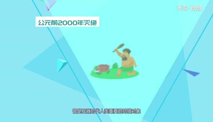 猛犸象是什么时期的 猛犸象来自什么时候