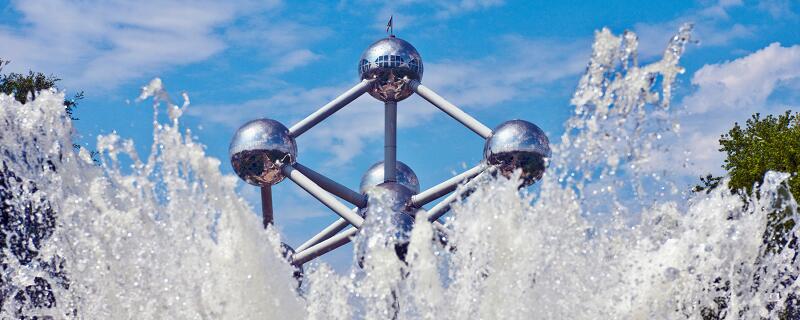 酵母菌的结构 酵母菌的结构是什么