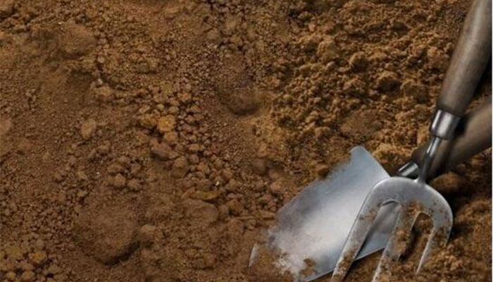 黏质土的特点 黏质土的特点是什么 黏质土的特点 黏质土的特点是什么