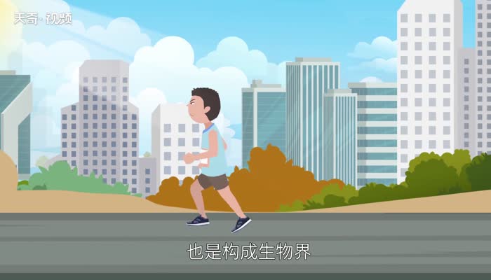 地壳中含量最多的元素是什么 地壳中含量第二的元素是什么