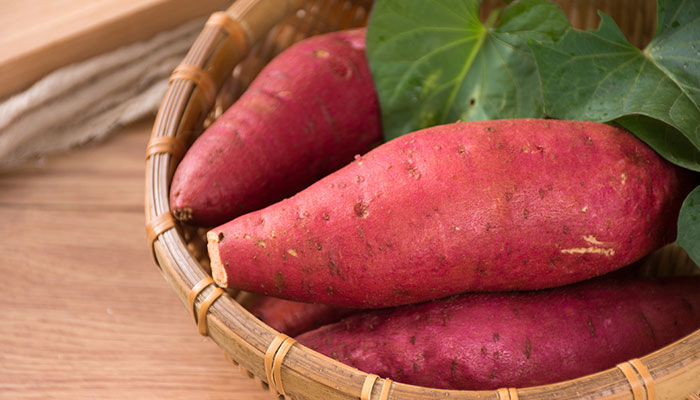 番薯发芽能吃吗 番薯发芽能不能吃