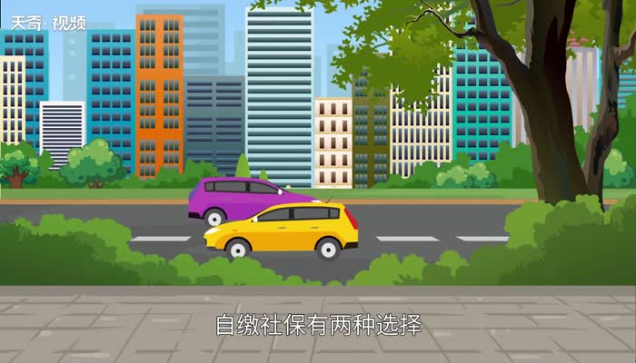 自费社保一年需交多少 自费缴纳社保一年大概需要多少钱