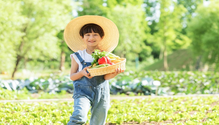 干贡菜是什么菜 干贡菜需要泡多久