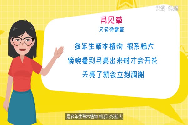 六月开什么花 六月开哪些花