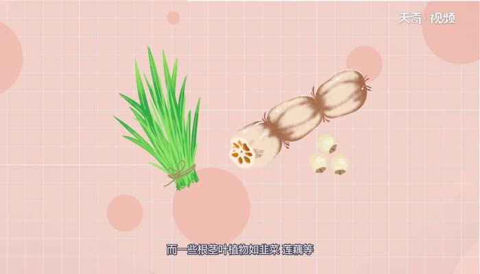 植物怎么过冬 植物过冬是怎么过的