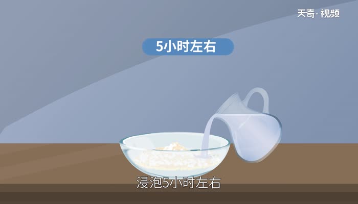 包粽子糯米泡几个小时 包粽子糯米泡多长时间