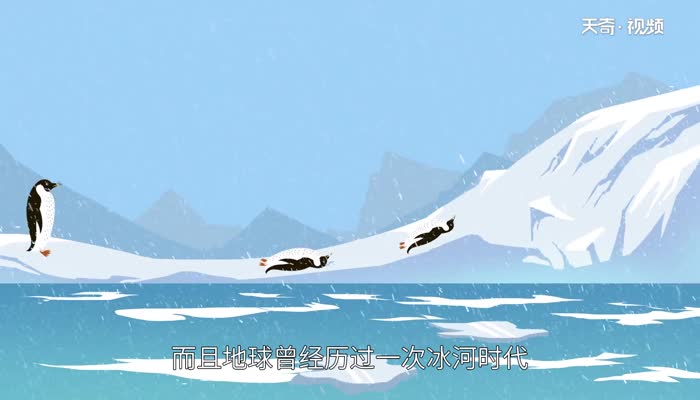 北极有企鹅吗 北极有没有企鹅
