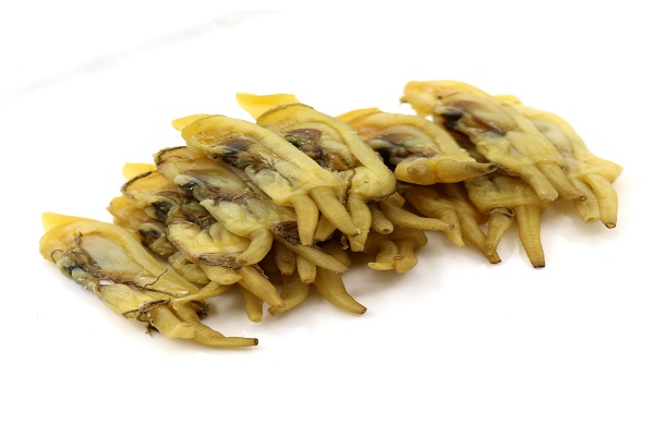 蛏干的功效与作用 蛏干的食用禁忌