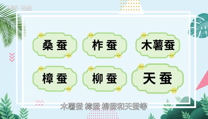 桑蚕丝的特点 桑蚕丝的优缺点