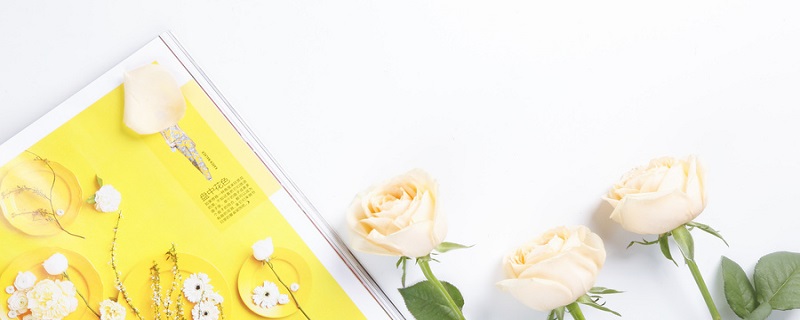 香槟玫瑰的花语是什么 香槟的寓意