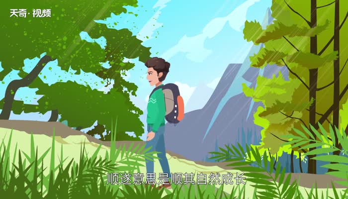 万事顺遂是什么意思 万事顺遂是什么含义